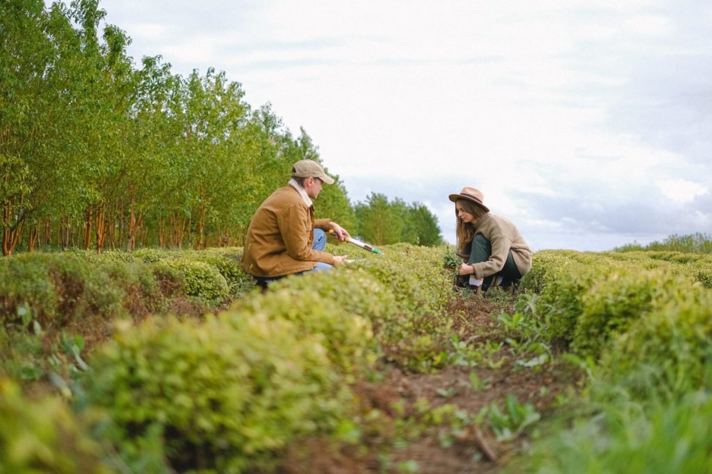 The Steward of the Canadian Environmental Workforce