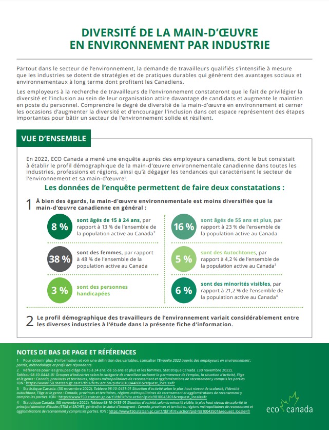 FR Diversity Factsheet - Industry