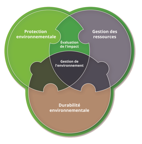 IA Venn diagram FR