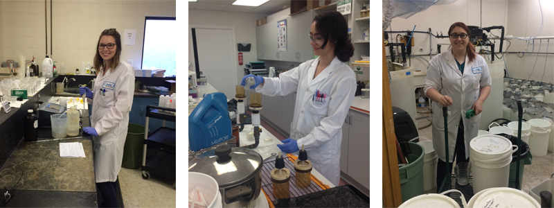 Interns who were approved through the EYC program to work at Caro. Left to right: Alysha Zuzek, Chemistry Analyst; Cascade Tong, Microbiologist; Justine Forester, Aquatic Toxicologist.