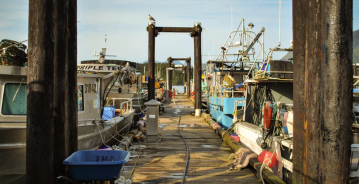 reformed fisheries and aquaculture act canada